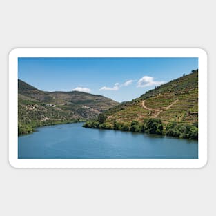 Point of view shot of terraced vineyards in Douro Valley Magnet